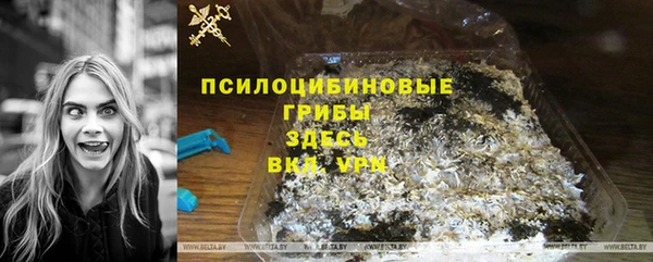 spice Алексин