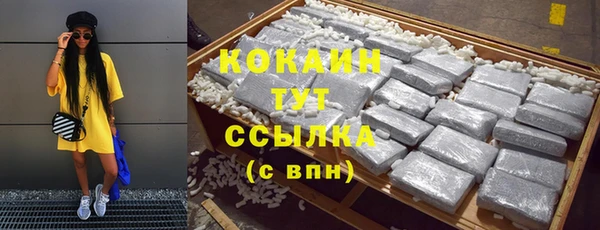spice Алексин