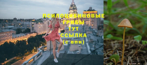 стаф Алексеевка