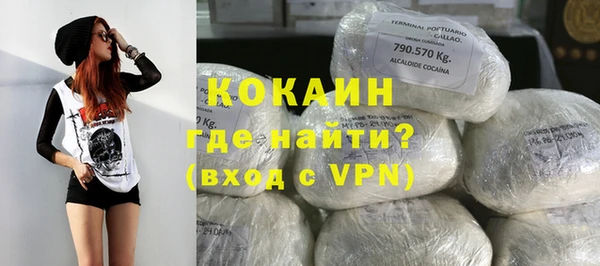spice Алексин