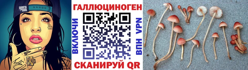 Псилоцибиновые грибы Psilocybine cubensis  Купить закладки  Сарапул 